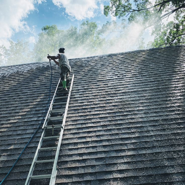 Moss Cleaning Service