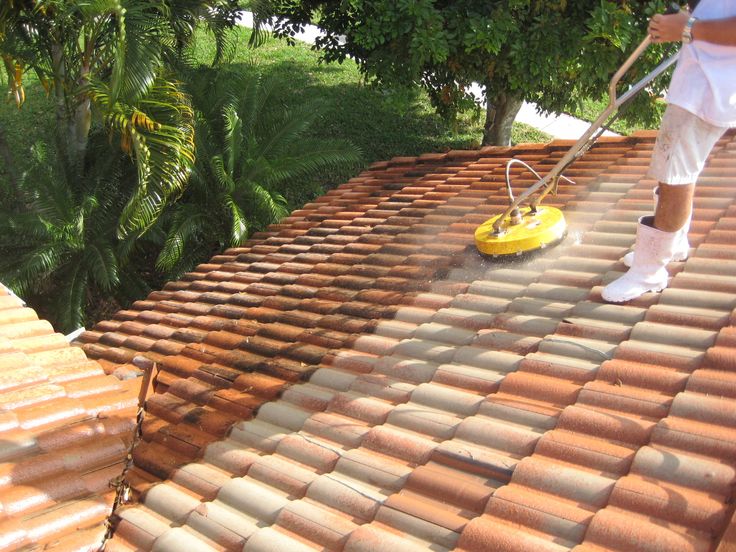 Roof Cleaning 4