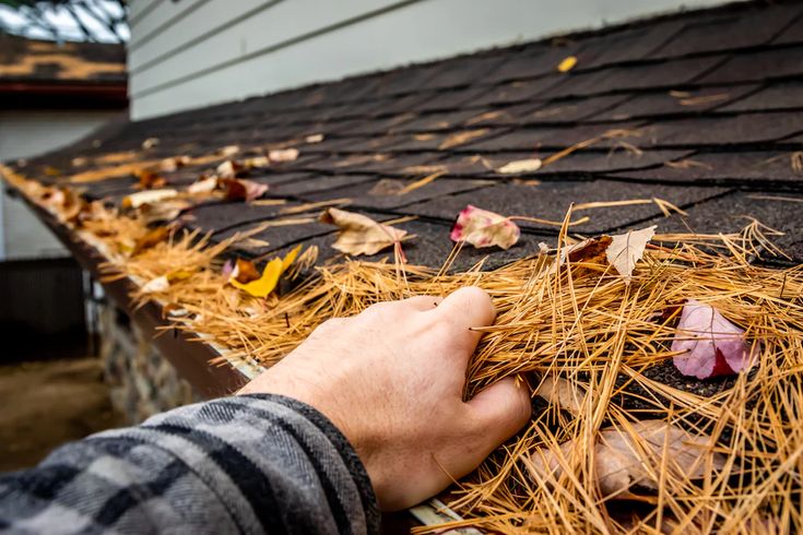 House Gutter Cleaning