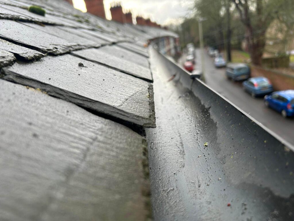 Rain Gutter Cleaning Services