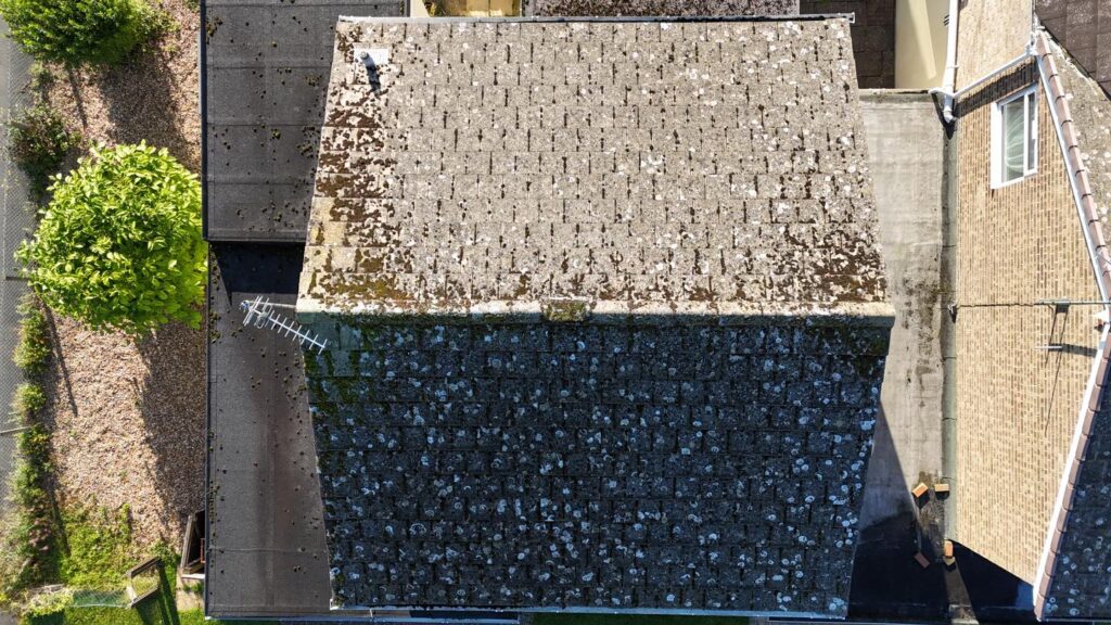 Roof Cleaning 2