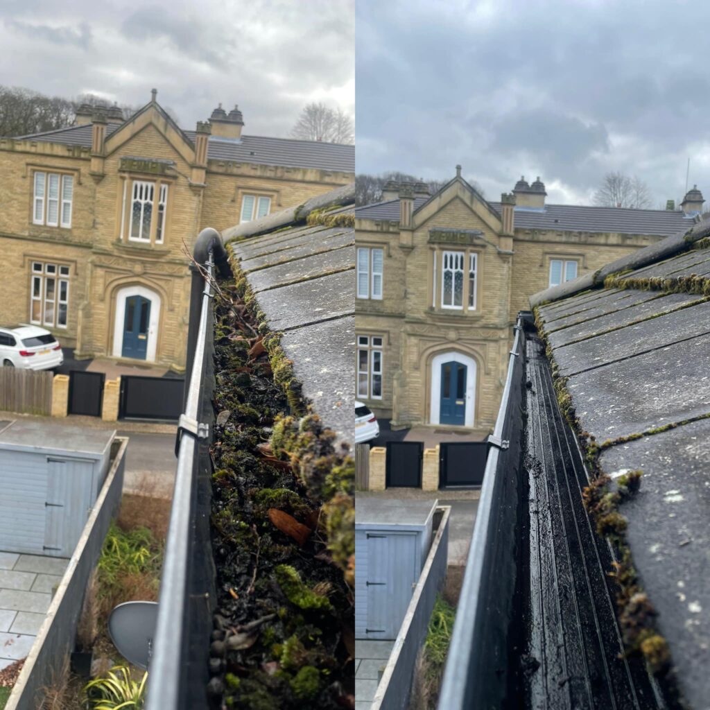 Roof Gutter Cleaning