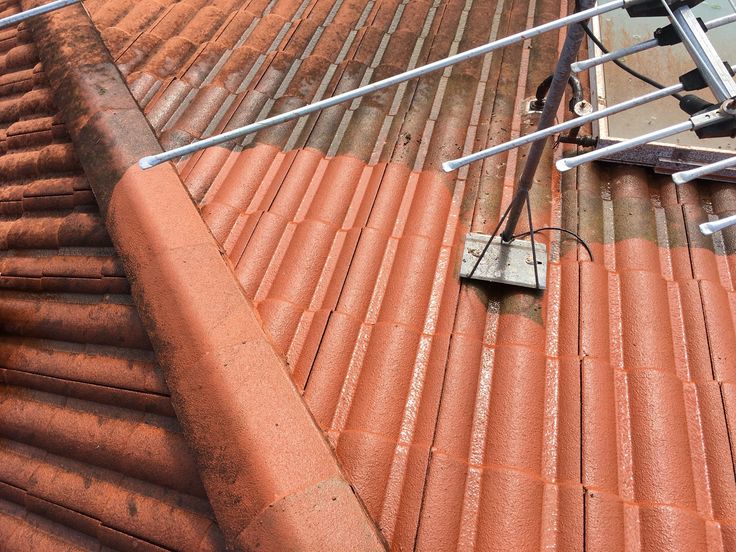 Roof Cleaning 3